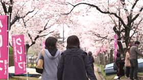 日本旅遊,日本觀光,日本行（示意圖／資料照）