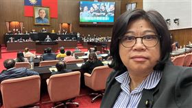 民進黨立委王美惠（圖／王美惠辦公室提供）