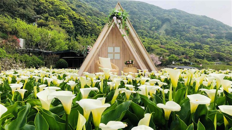 溫泉鄉聯手！北投、礁溪晶泉丰旅約你春遊