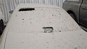 桃園地區某建築工地發生「水泥爆漿」事件，附近停車場多部汽車遭殃。（圖／翻攝畫面）