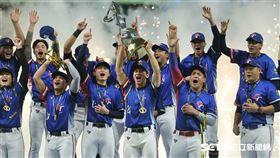 世界棒球經典賽資格賽,台灣隊,WBC資格賽,西班牙,OSEN,12強,優勝,恥辱（圖／記者劉彥池攝影）