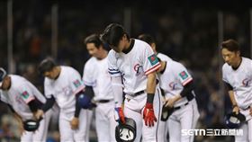 世界棒球經典賽資格賽,台灣隊,WBC資格賽,西班牙,OSEN,12強,優勝,恥辱（圖／記者劉彥池攝影）