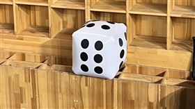 ▲跟著台灣12強拿下冠軍的「骰子6」，資格賽排名賽出現在休息室。（圖／中華棒協提供）