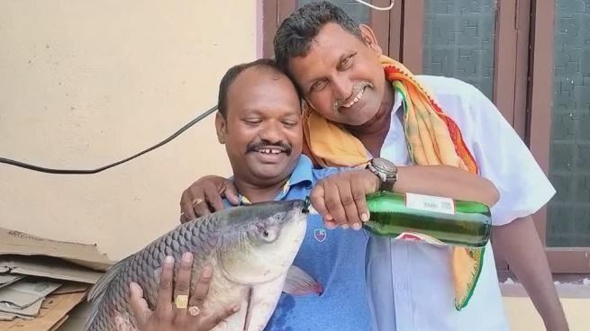 男逼魚喝酒　魚肚疑被灌腫！PO網挨轟虐待