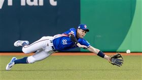 ▲WBC資格賽台西加賽，台灣隊外野手宋晟睿美技接殺瓦列里歐（Edison Valerio）右外野平飛球。（圖／棒球協會提供）