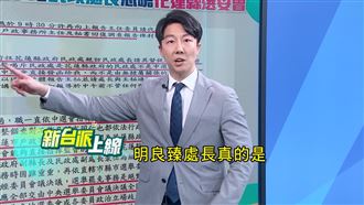 調查公文曝光！吳崢：花蓮縣府介入選委會