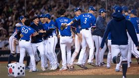 ▲經典賽資格賽台灣隊晉級2026經典賽。（圖／中華棒協提供）