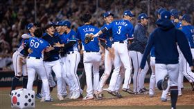 ▲台灣確定晉級2026經典賽，但本次卻沒有自家防護員隨隊。（圖／中華棒協提供）