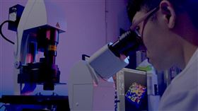 學測,志願,陽明交通大學,器官晶片（圖／陽明交大電機系提供）