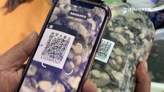 防走私蚵洗產地輸台　年底馬祖蚵納溯源