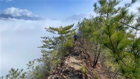 越野跑在台灣有一票死忠的粉絲參與，跑山是一件相當Chill的運動。（圖／陳在崇）