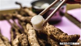 ▲山藥因營養價值極高，被譽為神仙之食。（圖／新北市政府農業局提供）