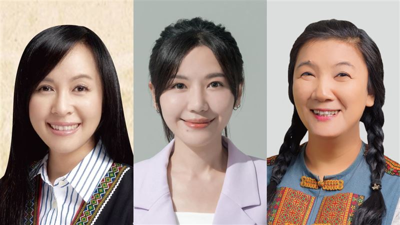 他指3綠委原本會過被槓掉　中選會發聲了