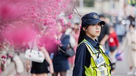 台中泰安櫻花季！高顏值女警執勤引暴動