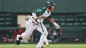 ▲紀慶然。（圖／台鋼雄鷹提供）