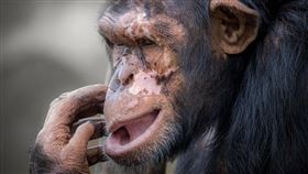 抓癢是一種有益身體健康的動作。（圖／Pixabay）