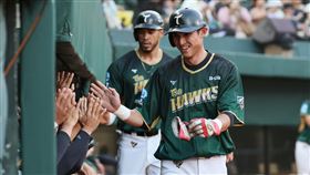 ▲陳文杰獲得陽岱鋼稱讚。（圖／台鋼雄鷹提供）