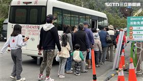 高雄,茂林,紫斑蝶,情人谷