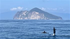 龜山島3/1開放登島颱風康芮民國113年10月31日登陸台灣，造成宜蘭縣龜山島嚴重受創，修繕作業已全數完成，3月1日將開放登島。（交通部觀光署東北角及宜蘭海岸國家風景區管理處提供）中央社記者王朝鈺傳真  114年2月24日