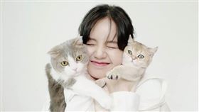 LISA在泰接受知名主持人專訪　提到愛貓就成為了媽咪。（圖／翻攝IG@Lalalalisa_m）