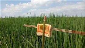 ▲土地公拐（圖／翻攝自國家文化記憶庫）