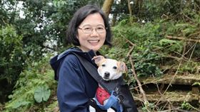蔡英文爬山、挑戰樟之細路（圖／翻攝自蔡英文臉書）