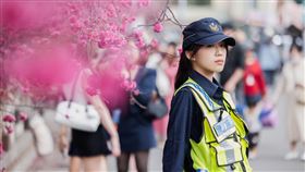 台中泰安派出所因種植60多株八重櫻，許多民眾前往賞櫻，但被現場交通管制的女警美貌吸引。（圖／翻攝自臉書＠TCPB 局長室、Threads）