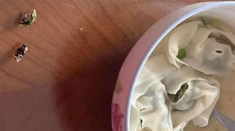 超市買冷凍餛飩！陸女吃到1整隻蟑螂吐了