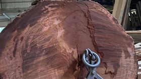 桃園化工廠董座將家中祖傳烏心木送去木材廠，竟有一半離奇消失。（圖／翻攝畫面）