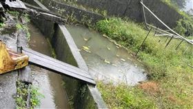 弟倒臥新北金山水溝身亡  兄指脖有勒痕懷疑他殺新北市金山區一名鄭姓男子日前被發現倒臥水溝身亡，鄭男的哥哥指弟弟脖子有勒痕瘀傷，且頭頂有撕裂傷，懷疑有他殺嫌疑。（讀者提供）中央社記者王朝鈺傳真  114年3月2日