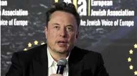 特斯拉執行長馬斯克（Elon Musk）組美國政府效率部（Department of Government Efficiency, DOGE）。（圖／達志／美聯社）