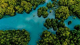 ▲ 各國齊聚羅馬商討生物多樣性融資方案，但資金缺口與管理爭議仍是挑戰，未來行動與透明度將決定 2030 年保育目標能否達成。（圖／永續新聞網提供） 