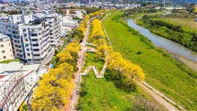 「潮風鈴•野餐音樂市集」知名歌手、樂團輪番登台　邀請你聽花開的聲音（業配勿用）