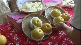 ▲驚蟄吃水梨習俗。（圖／三立新聞網）