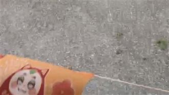 新／中部暴雨！谷關、妖怪村「天降冰雹」