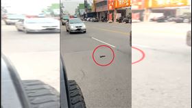  驚！路中央掉1把槍　網：不愧是慶記之都（圖／翻攝Threads)