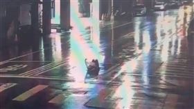 苗栗一名女子於3日深夜，躺臥在馬路中央自拍。（圖／翻攝畫面）