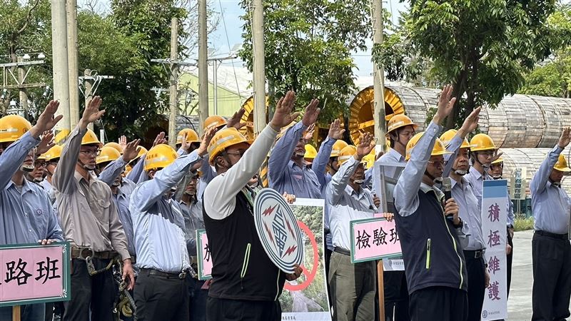 春雷喚醒小動物！台電祭7招：防停電事故