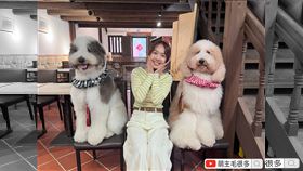 粟粟接下主持工作（圖／緯來提供）