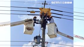 驚蟄來襲　鳥獸失控憂釀災？台電出手了　動員4千人移巢　防電網崩潰(圖／台電提供)