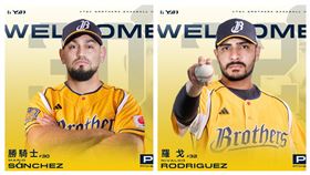 ▲中信兄弟迎接勝騎士（Mario Sanchez）和羅戈（Nivaldo Rodriguez）加入。（圖／中信兄弟提供）