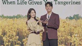 《苦盡柑來遇見你》IU、朴寶劍、文素利、朴解浚。（圖／Netflix提供）