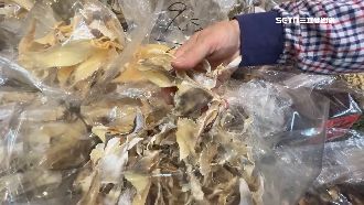 魚翅洗產地銷陸！報關行等7人涉偽造文書