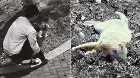  影／男凶狠虐貓「掰斷四肢還踩頭」！牠眼珠噴出慘死（圖／翻攝自微博）