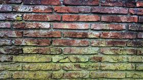 發霉,霉菌(圖/pixabay)