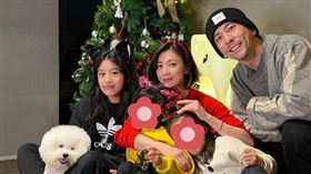 梧桐妹、修杰楷。（圖／翻攝自梧桐妹IG）