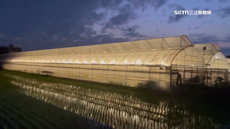 LED農照明補助爆量！5天破1800萬額度