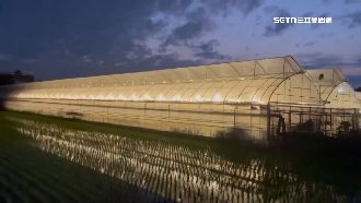 LED農照明補助爆量！5天破1800萬額度