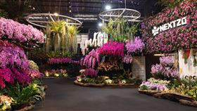 2025臺灣國際蘭展展區,開幕儀式（圖／農糧署提供）