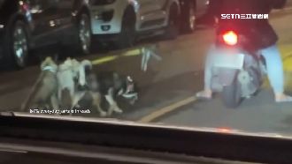 扯！男騎車遛3犬　狗狗後方狂追體力透支